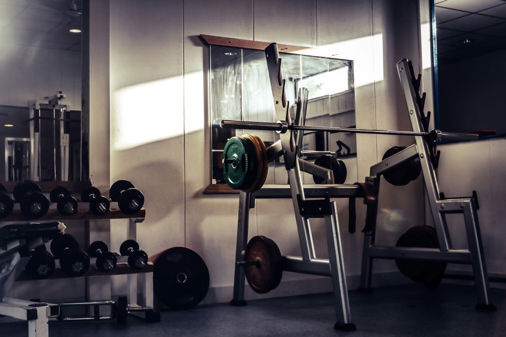 Immagine trainer