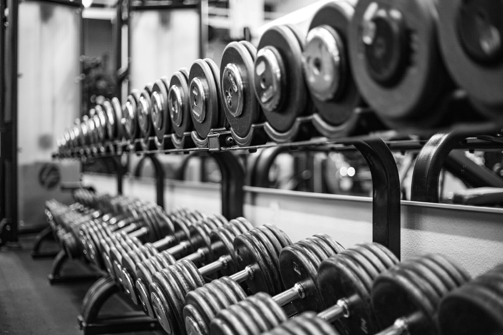 Immagine trainer